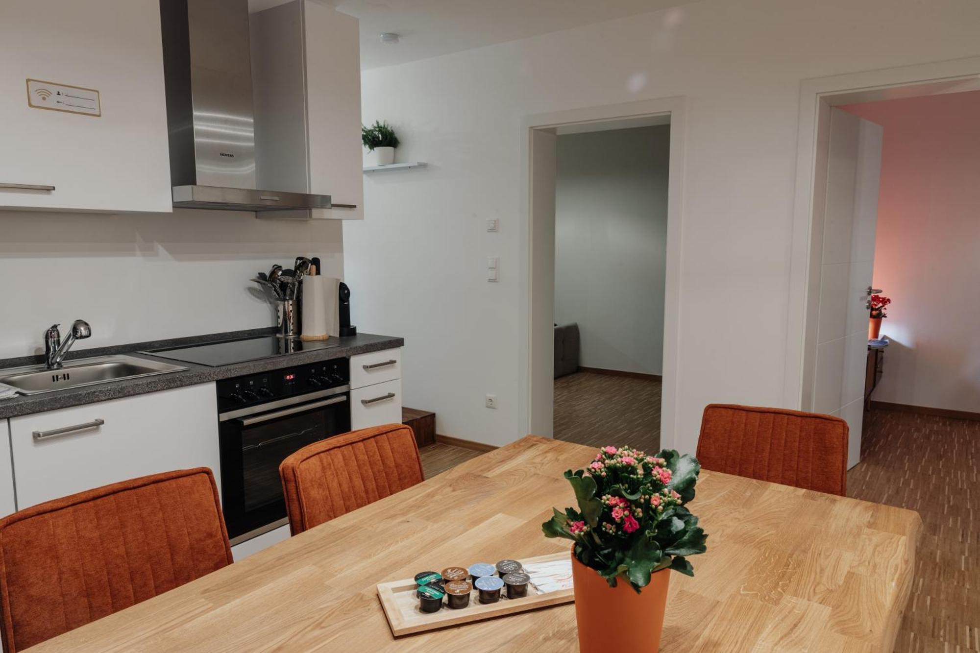 Passaus Motto Appartements! Solo - Paerchen - Familien - Gruppen Camera foto
