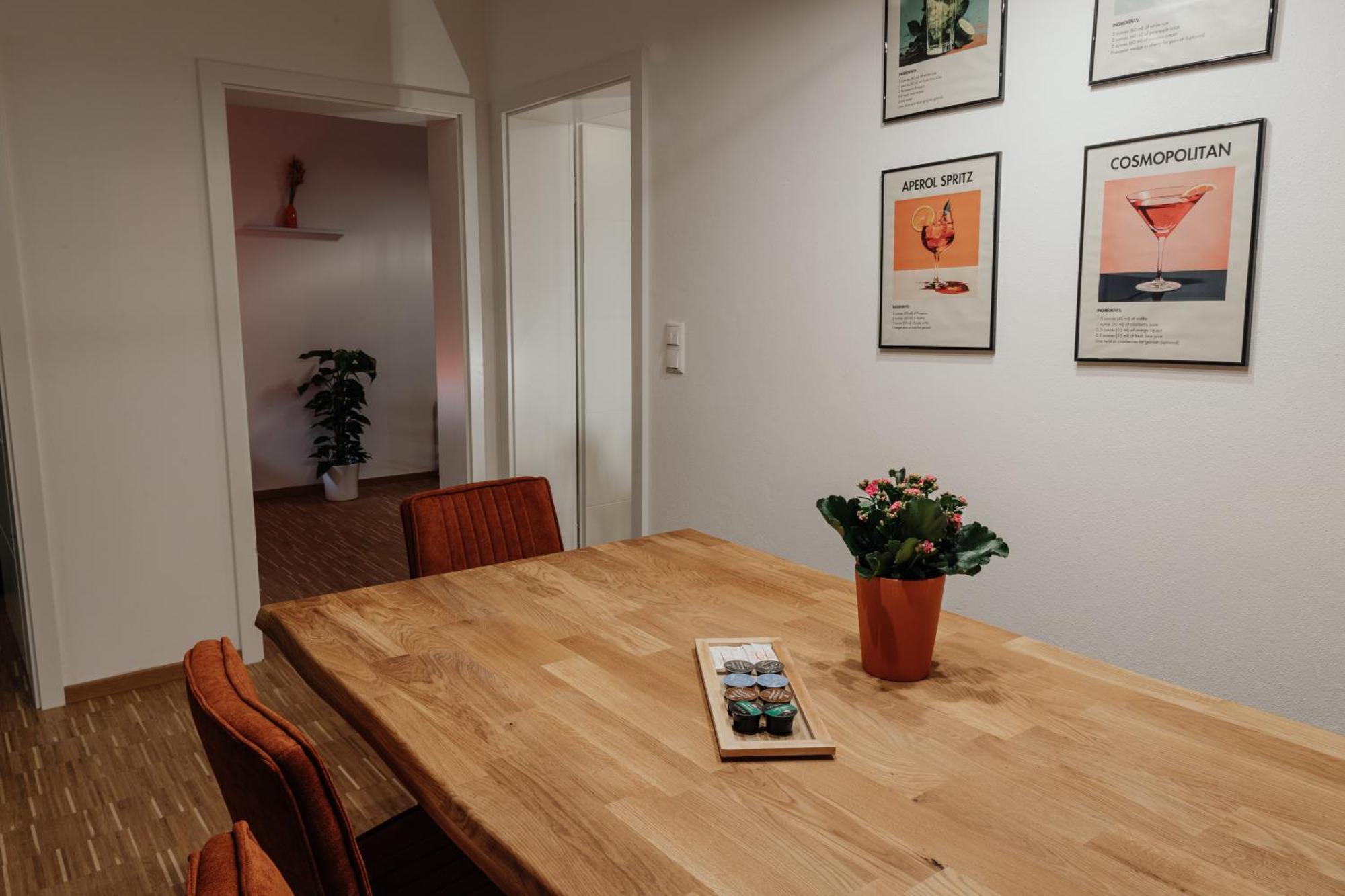 Passaus Motto Appartements! Solo - Paerchen - Familien - Gruppen Camera foto